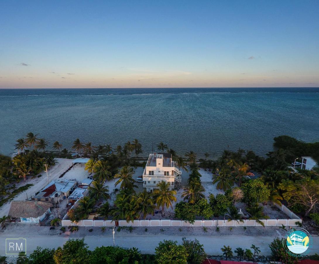 Caribbean Casa Blanca Daire Xcalak Dış mekan fotoğraf