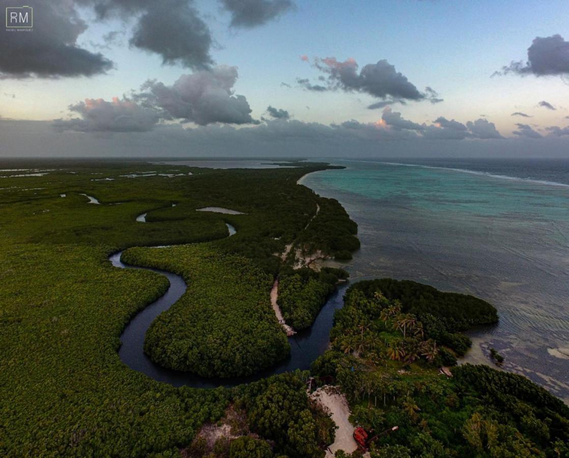 Caribbean Casa Blanca Daire Xcalak Dış mekan fotoğraf