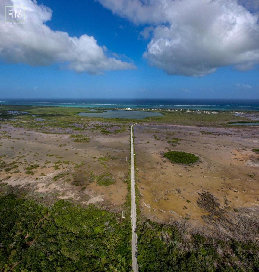 Caribbean Casa Blanca Daire Xcalak Dış mekan fotoğraf