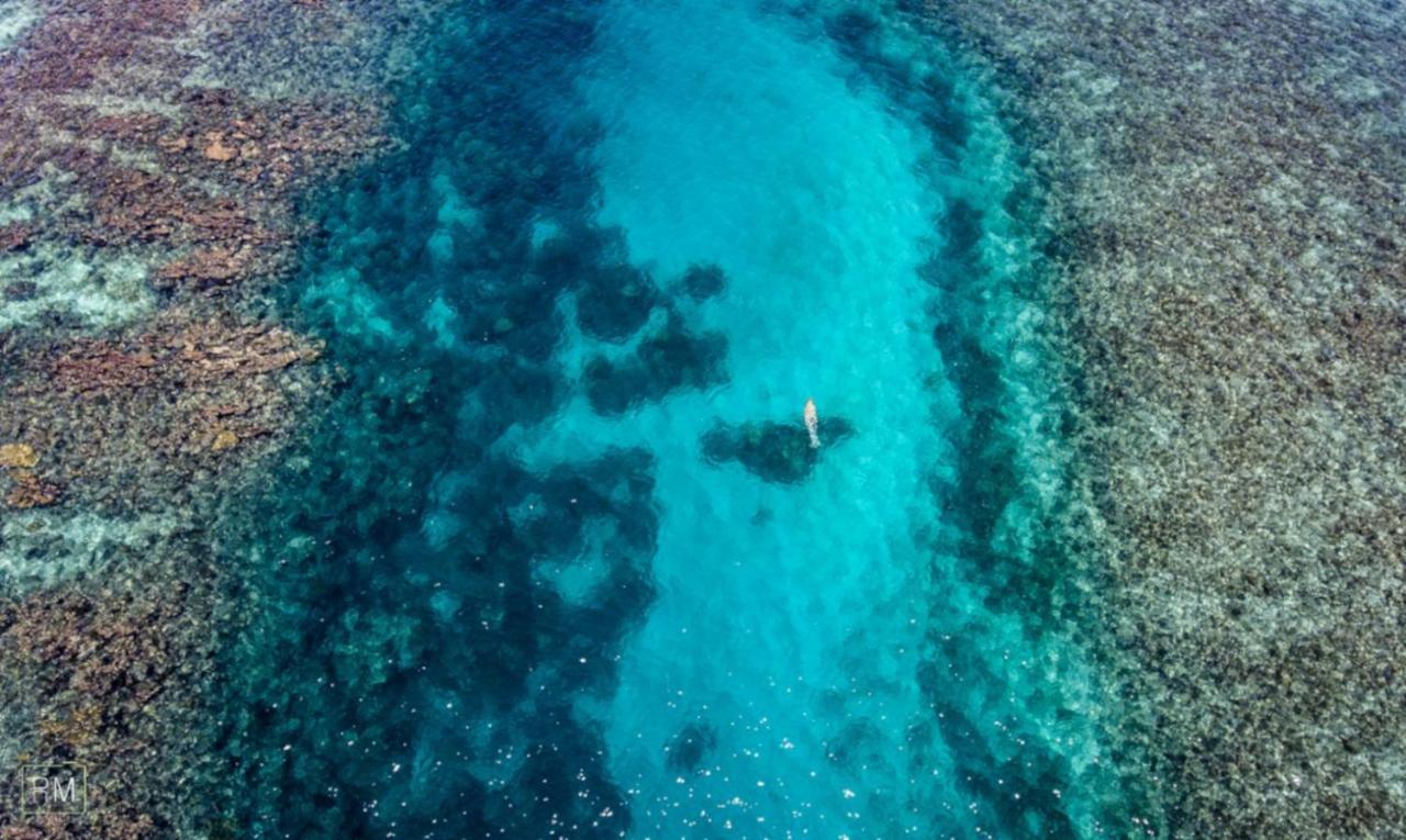 Caribbean Casa Blanca Daire Xcalak Dış mekan fotoğraf